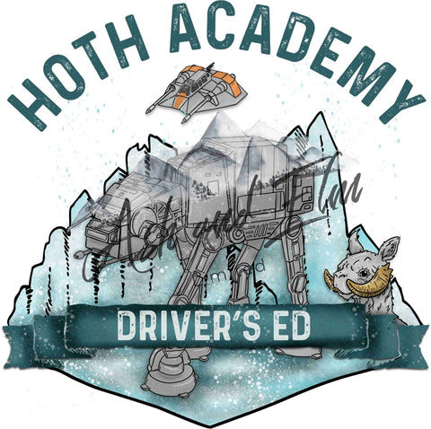 Icy Planet Academy Drivers Ed Panel