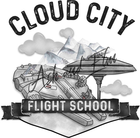 Cloud City Flight School Panel