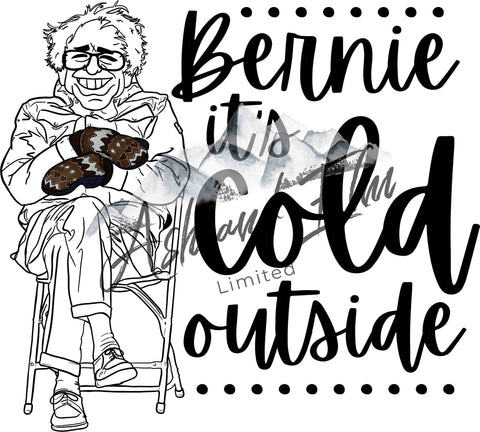 Bernie it's Cold Outside Panel