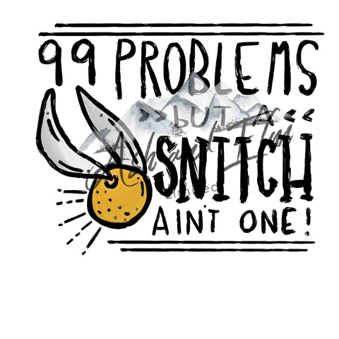 99 Problems Panel