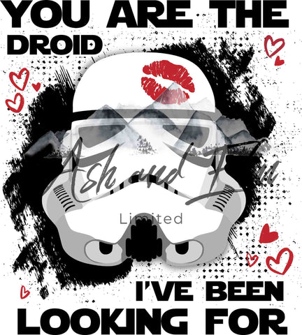 The Droid I've Been Looking For Panel